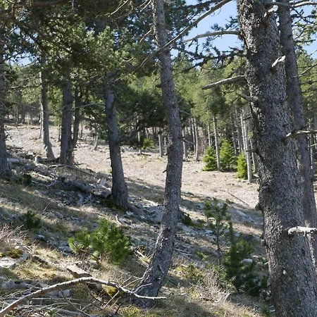 Un Chalet Au Ventoux Mont Serein Exterior foto
