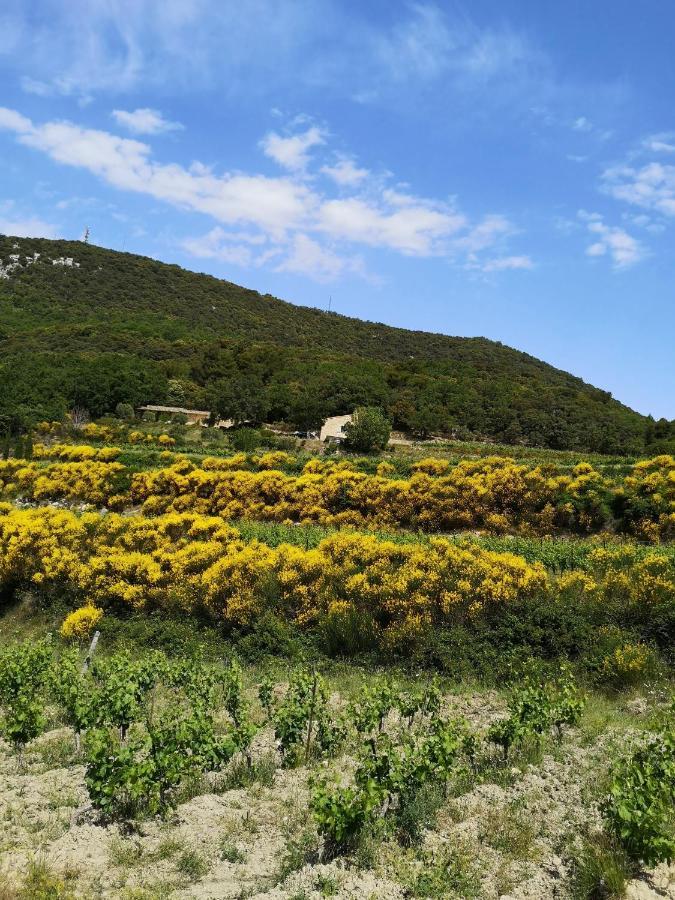 Un Au Ventoux - Casa vacanze Mont Serein
