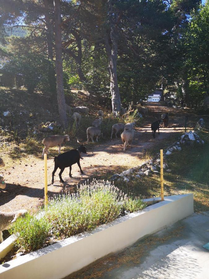 Un Au Ventoux - Holiday home Mont Serein
