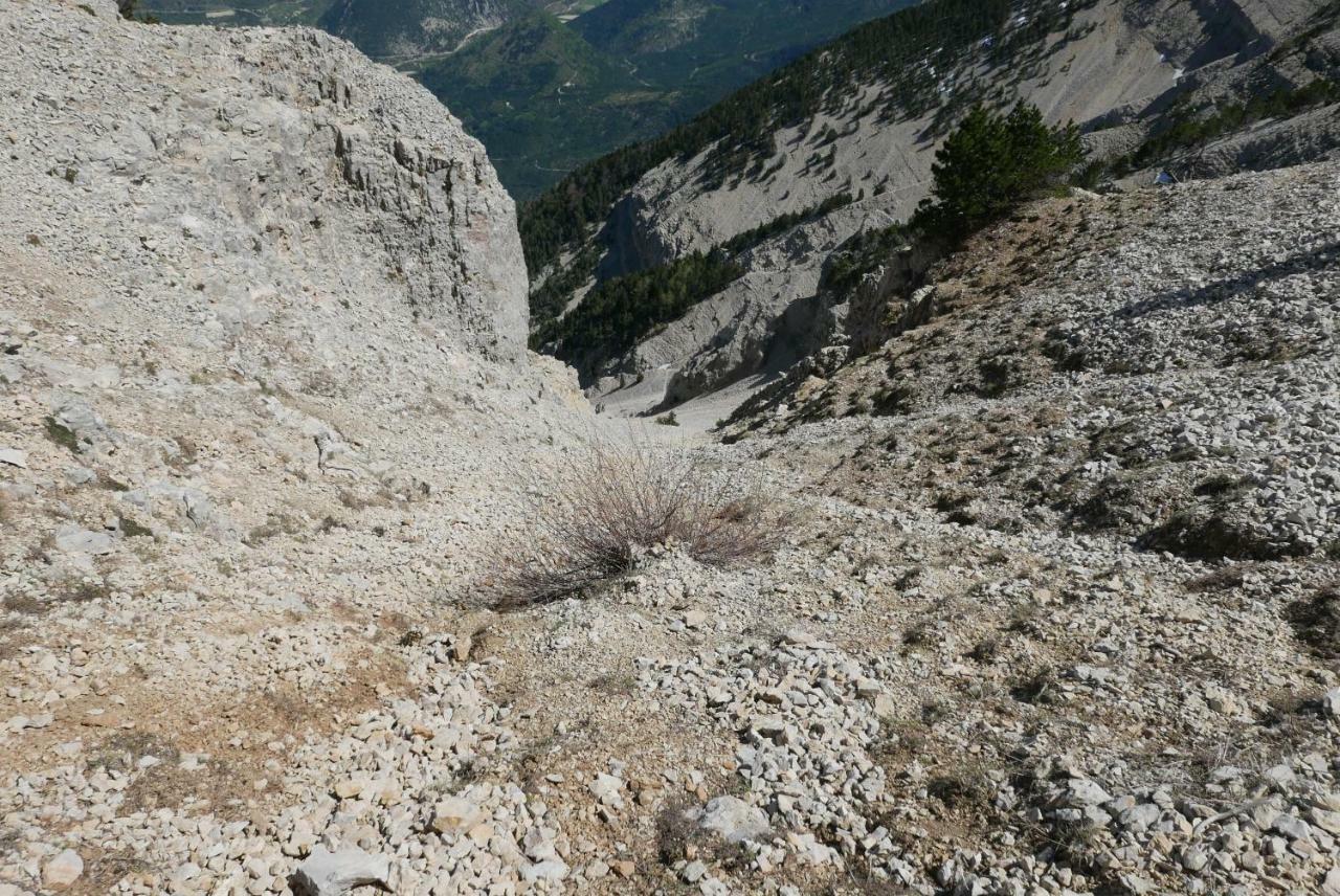Un Au Ventoux - Holiday home *