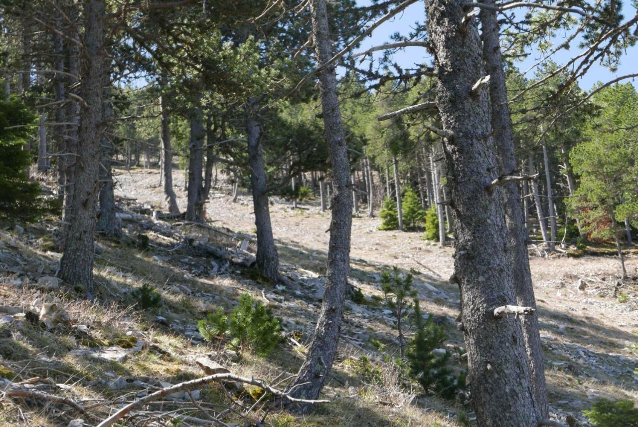 Holiday home Un Au Ventoux - *